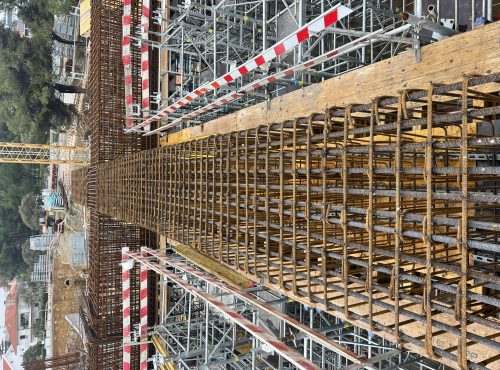 Leitao e Silva AHED (2)